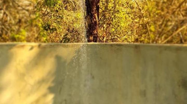 Hlane Royal National Park