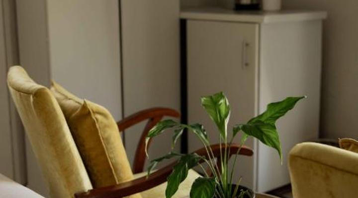 Elianthe Boutique Guest House