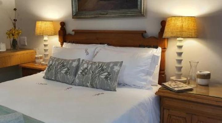 The Lazy Lizard Umhlanga