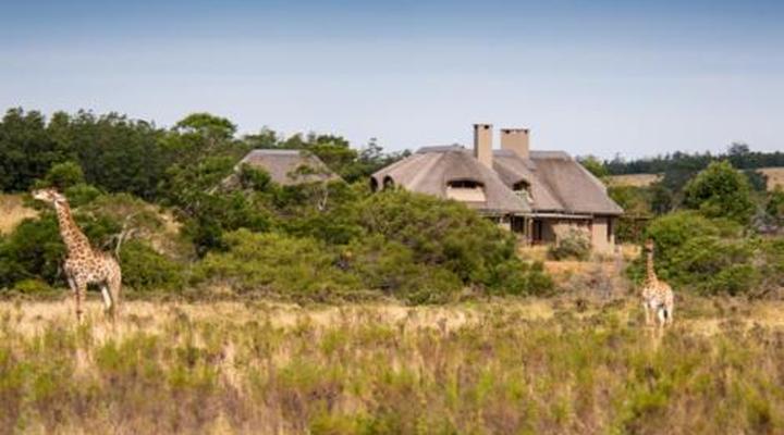 Gondwana Game Reserve