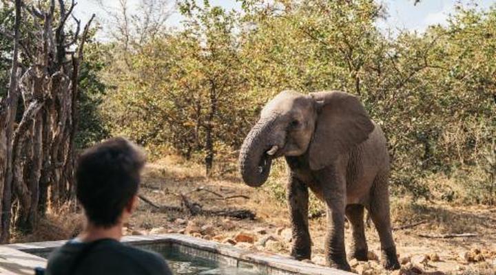 Simbavati River Lodge