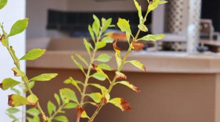 Fossil Hills Farm Cottage