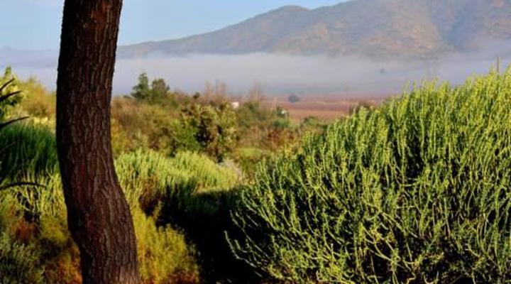 Fossil Hills Farm Cottage