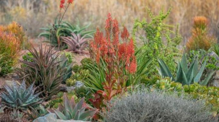 Fossil Hills Farm Cottage