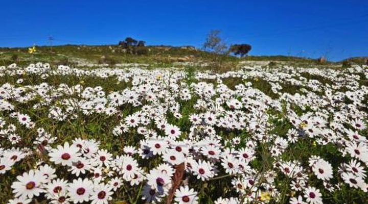 CrystalLagoonLodge@WestCoastLife