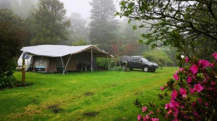 Mount Park Guest Farm