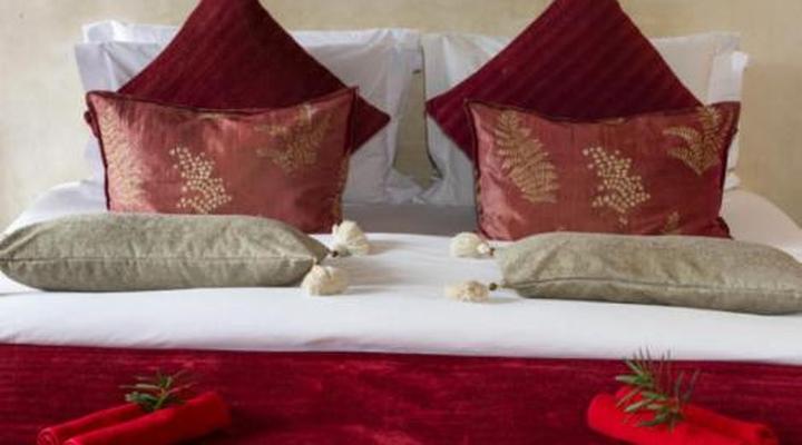 Trogon House and Forest Spa