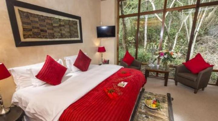Trogon House and Forest Spa