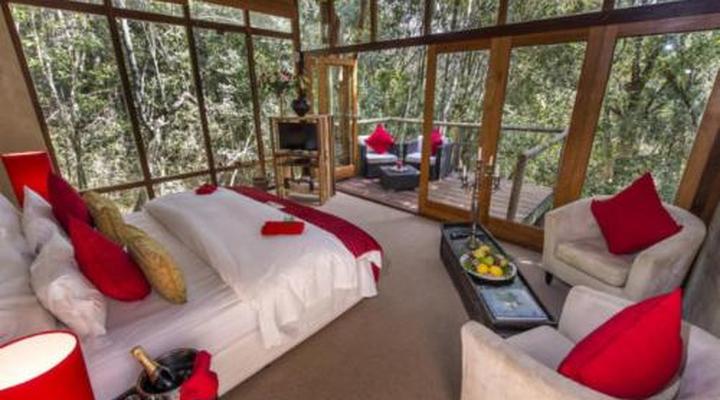 Trogon House and Forest Spa