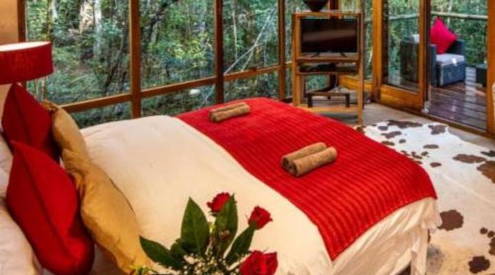 Trogon House and Forest Spa