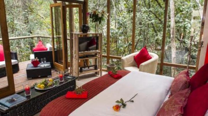 Trogon House and Forest Spa