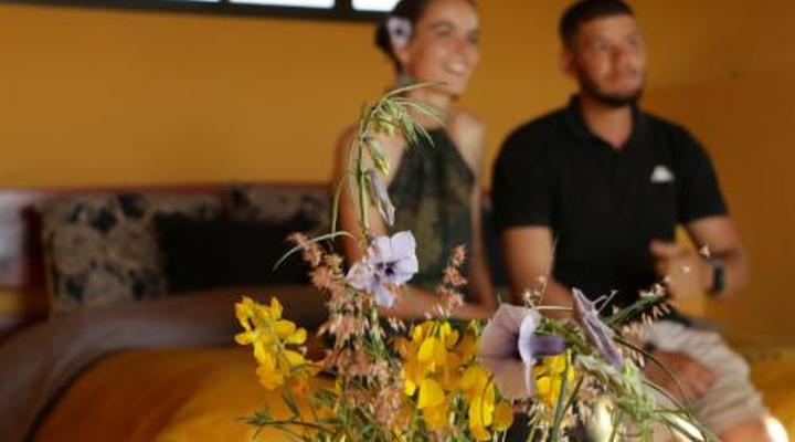 Duesternbrook Safari Guest Farm