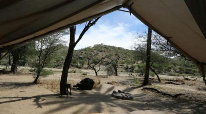 Duesternbrook Safari Guest Farm