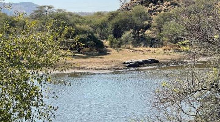 Duesternbrook Safari Guest Farm