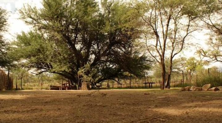 Duesternbrook Safari Guest Farm