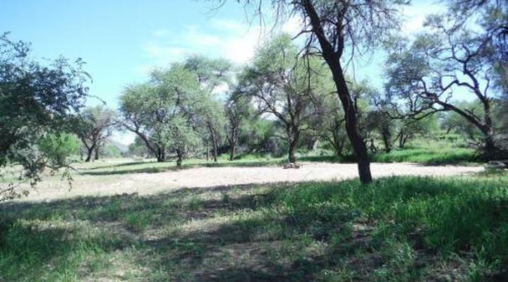 Duesternbrook Safari Guest Farm