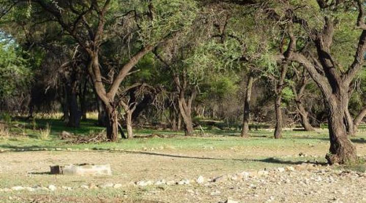 Duesternbrook Safari Guest Farm