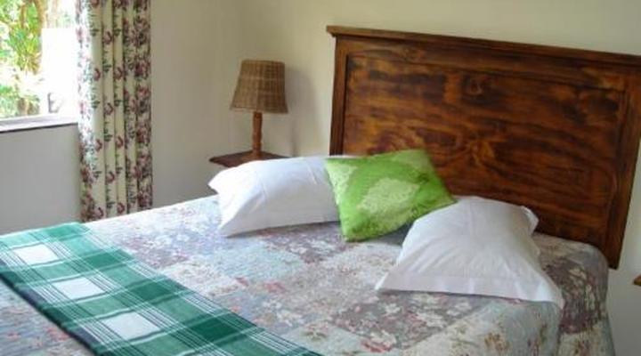 Taunton House Bed & Breakfast