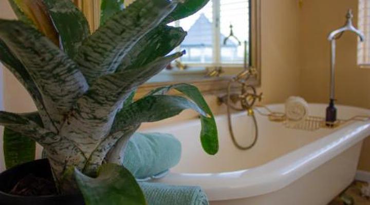 Kennedy's Beach Villa