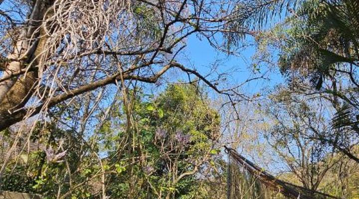 Old Vic Traveller's Inn