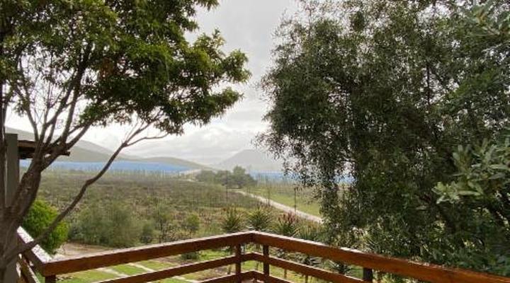 Pat Busch Mountain Reserve