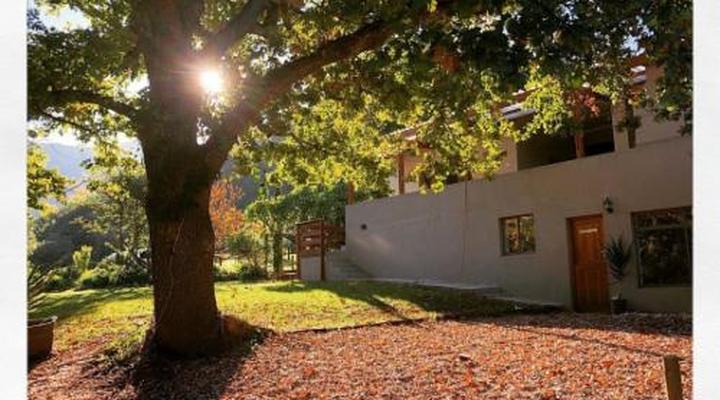 Pat Busch Mountain Reserve