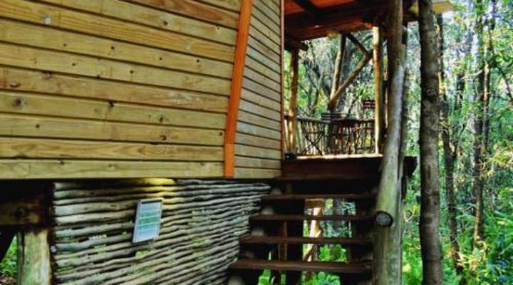 Waterbessiebos Cottage