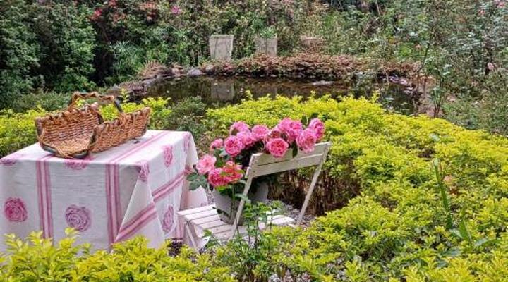 Waterbessiebos Cottage