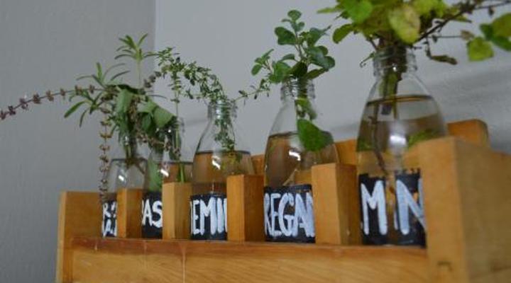 Waterbessiebos Cottage