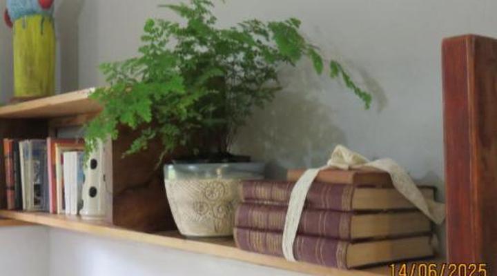 Waterbessiebos Cottage