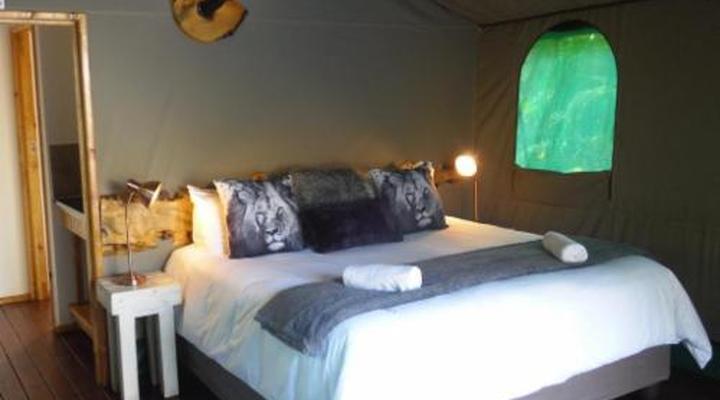 Luxury Tented Village @ Urban Glamping