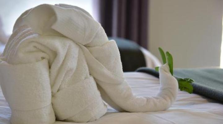 Bayala Private Safari Lodge and Camp