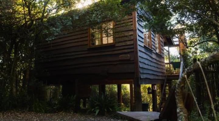 Moon Shine on Whiskey Creek