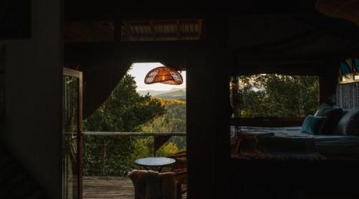 Moon Shine on Whiskey Creek