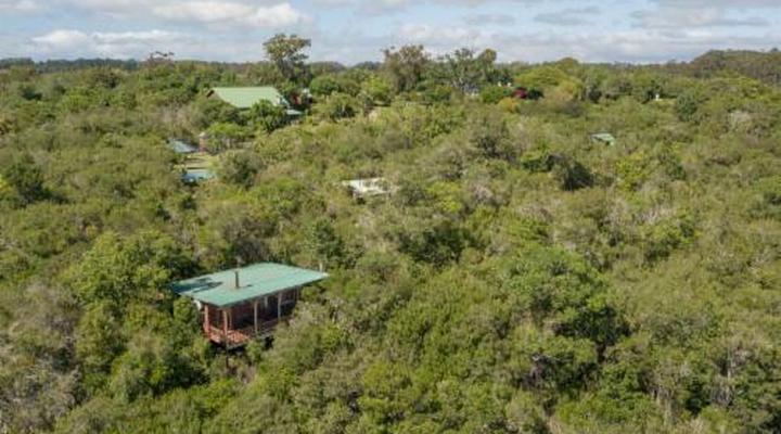 Moon Shine on Whiskey Creek