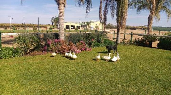 Augrabies De Oude Stoor Guesthouse