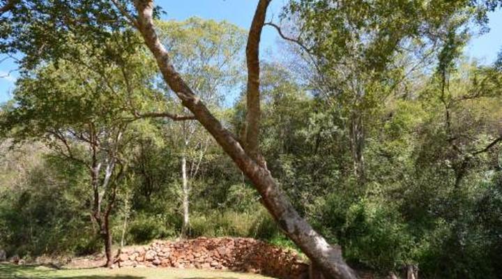 Rocky Drift Private Nature Reserve