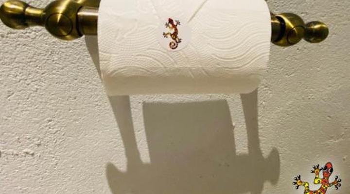 Sabie River Bush Lodge