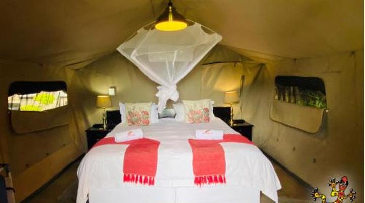 Sabie River Bush Lodge