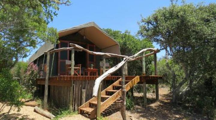 Woodbury Tented Camp