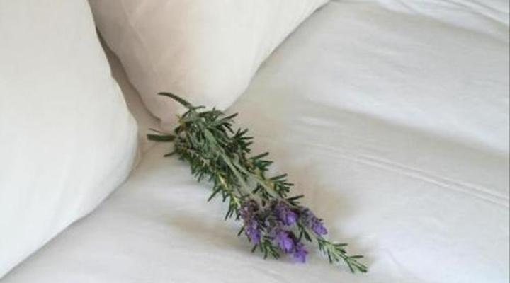 The Wardrobe Guest House