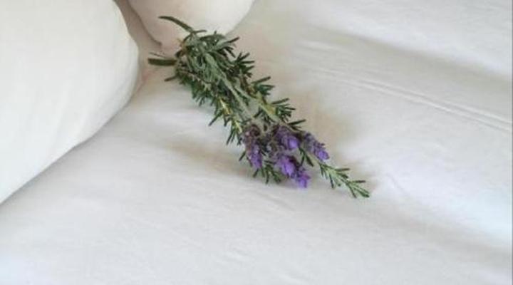 The Wardrobe Guest House