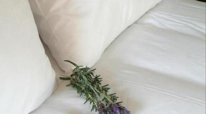 The Wardrobe Guest House