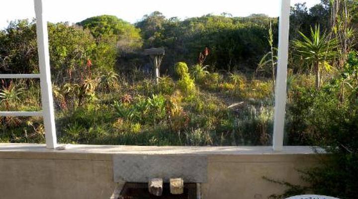 Mama Mia at Charlotte House