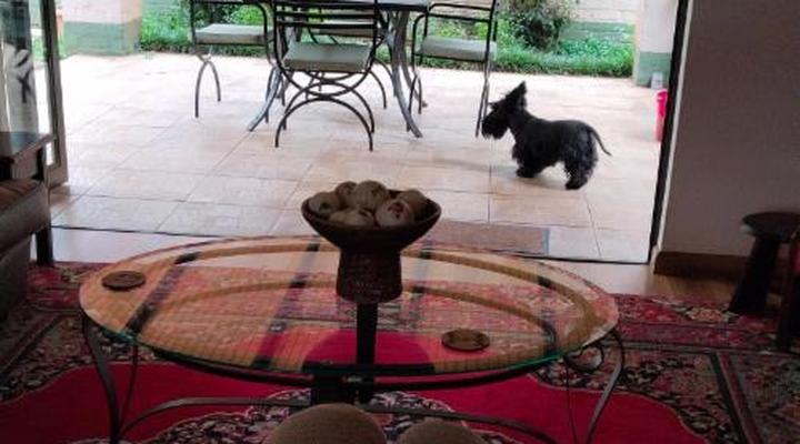 The Village Guest House