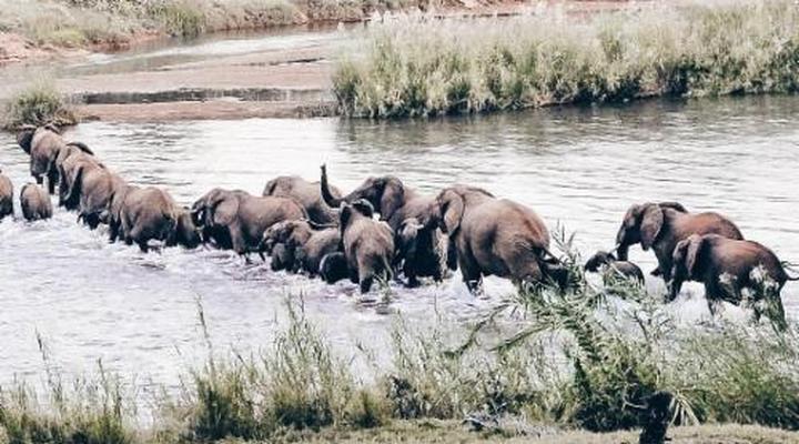 Baluleni Safari Lodge
