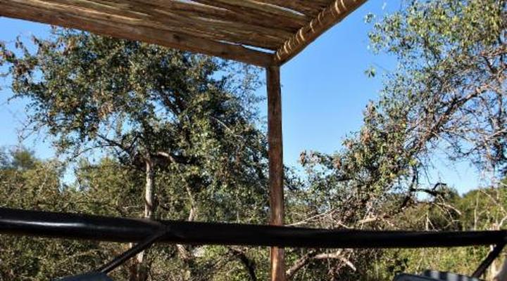 Baluleni Safari Lodge