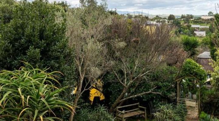 Pascal's Country Kitchen & Lodging