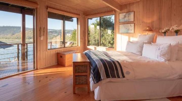 Sedgies On The Water