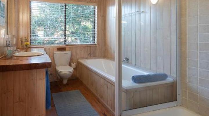 Sedgies On The Water